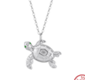 Turtle R5