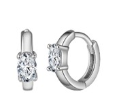One zirconia hoop D40