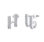 Earrings D74