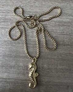 Cheval de mer