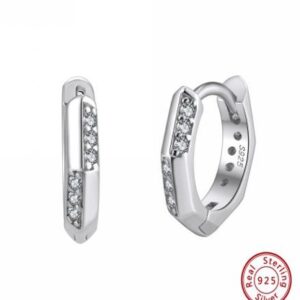 SS33 Hoop Zircon 2